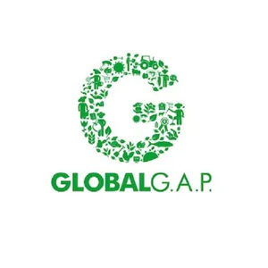 Certification Logo 2